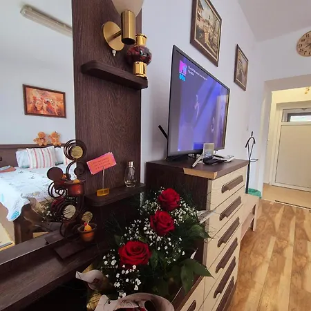 Shesti Uchastak Apartment