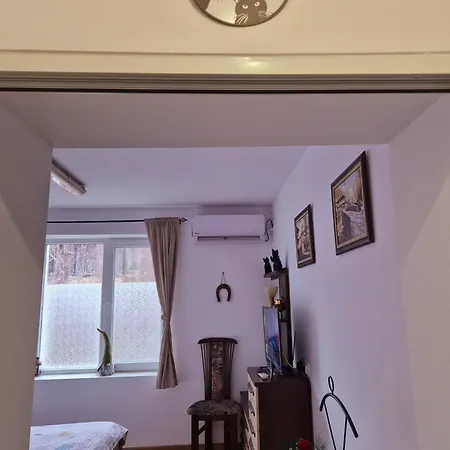 Shesti Uchastak Apartment *